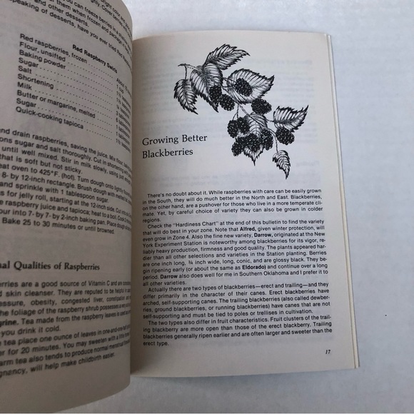 3/$12! Berries, Rasp- & Black Garden Way Publishing Bulletin A-33 Booklet 1979 - Picture 5 of 6